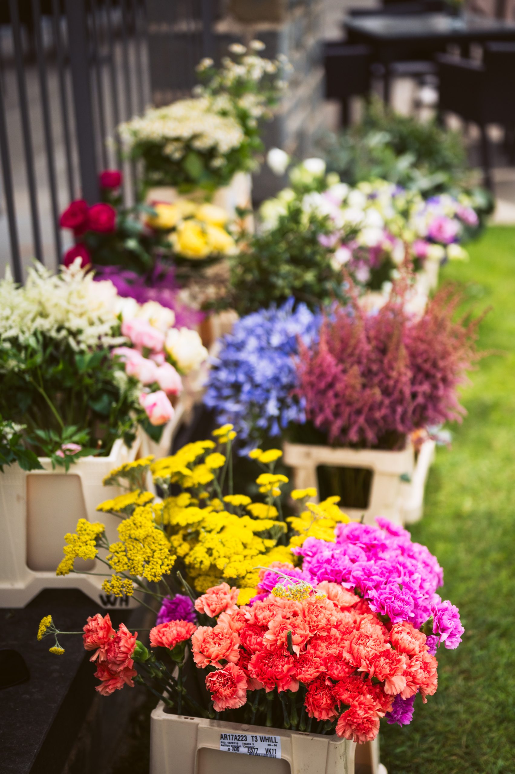 Prekrasna barvna paleta. In vedno molimo, da ne pripeka sonce.